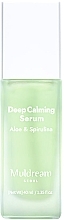 Soothing Serum for Sensitive & Oily Skin - Muldream Deep Calming Serum Aloe & Spirulina — photo N3