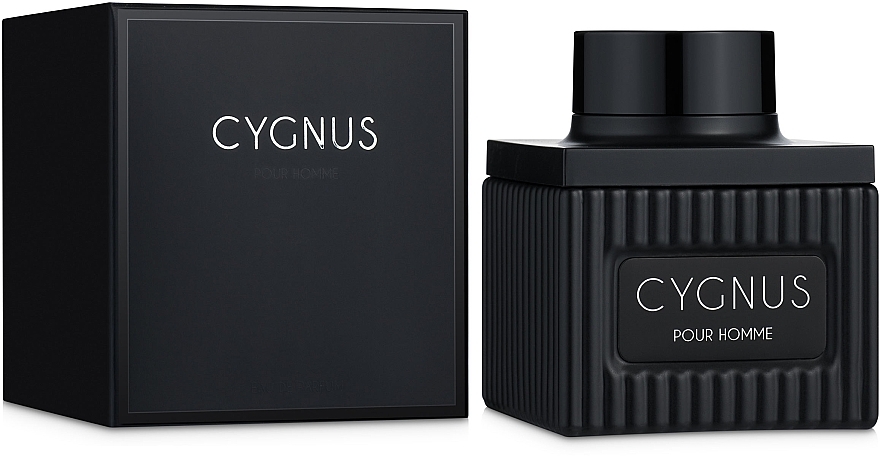 Flavia Cygnus Pour Homme - Eau de Parfum — photo N14
