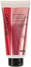 Hair Color Protection Pomegranate Shampoo - Brelil Professional Numero Colour Protection Shampoo — photo N2