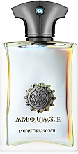 Amouage Portrayal Man - Eau de Parfum — photo N10