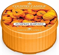 Fragrances, Perfumes, Cosmetics Tea Light "Pumpkin Harvest" - Country Candle Pumpkin Harvest Daylight