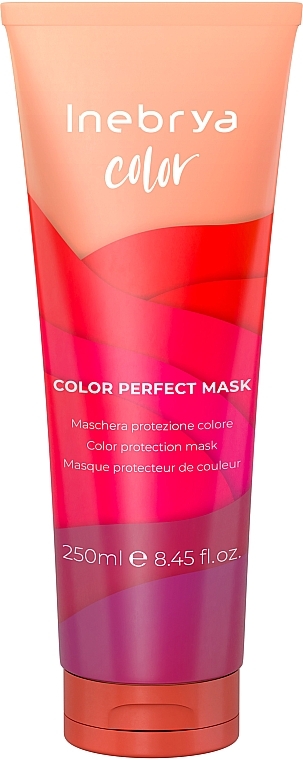 Color Protection Mask - Inebrya Color Perfect Mask — photo N2