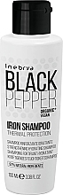 Strengthening Moisturizing Shampoo - Inebrya Black Pepper Iron Shampoo — photo N2