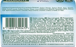 Soap - Palmolive Hygiene Plus Clean & Fresh Eucalyptus — photo N7