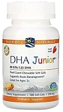 Strawberry Flavor Fish Oil Kids Dietary Supplement - Nordic Naturals DHA Junior Strawberry — photo N1