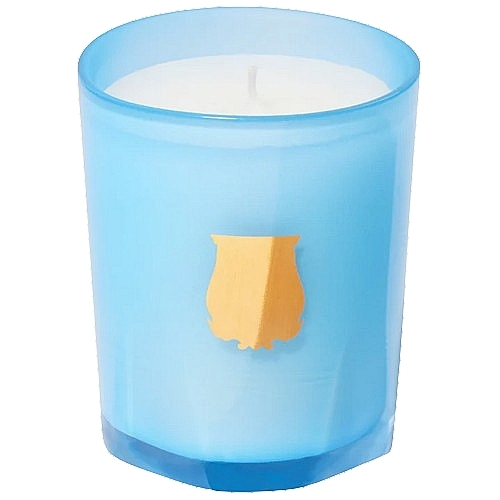 Scented Candle 'Versailles' - Cire Trudon — photo N1