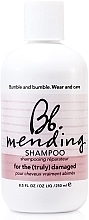 Fragrances, Perfumes, Cosmetics Repair Shampoo for Damaged Hair - Bumble and Bumble Mending Shampoo