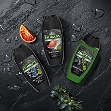Shampoo-Shower Gel for Men - Palmolive Men Energizing 3 in 1  — photo N9