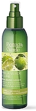 Leave-In Spray Conditioner with Green Apple & Lime - Bottega Verde Leave-In Spray Conditioner — photo N1