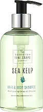 Sea Kelp Hair & Body Shampoo - Scottish Fine Soaps Sea Kelp Hair And Body Wash — photo N1