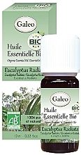 Organic Eucalyptus Radiata Essential Oil - Galeo Organic Essential Oil Eucalyptus Radiata — photo N5