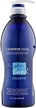 Cooling Bactericidal Shampoo - PL Cosmetic Camphor Cool Shampoo — photo N10