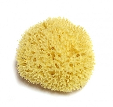 Natural Sea Sponge, 17.8 cm - Hydrea London Honeycomb Sea Sponge Premium Quality — photo N2