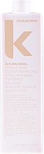 Color Enhancer Conditioner for Blonde Hair - Kevin.Murphy Autumn.Angel Hair Treatment — photo N32