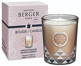 Fragrances, Perfumes, Cosmetics Scented Candle - Maison Berger Garden Of Agaves Candle