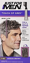 Men Gray Coverage Hair Color - Just For Men Touch Of Gray — photo N1