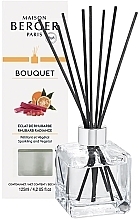 Maison Berger Cube Rhubarb Radiance - Fragrance Diffuser — photo N1