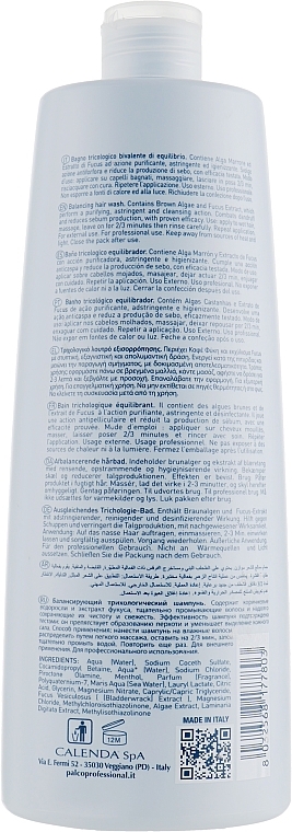 Cleansing Shampoo - Palco Professional Hyntegra Balancing Hair Wash — photo N18