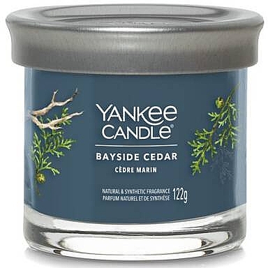 Scented Candle in Glass 'Bayside Cedar' - Yankee Candle Singnature — photo N3