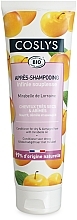 Mirabella Oil Conditioner for Dry Hair - Coslys Dry Hair Conditioner — photo N1