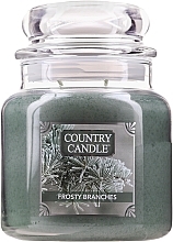 Fragrances, Perfumes, Cosmetics Scented Candle - Country Candle Frosty Branches