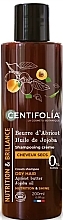 Fragrances, Perfumes, Cosmetics Apricot & Jojoba Cream Shampoo for Dry Hair - Centifolia Cream Shampoo Dry Hair