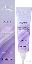 スカルプ クレンジング スクラブ - Inebrya Grey By Day Scalp Relief — photo N2