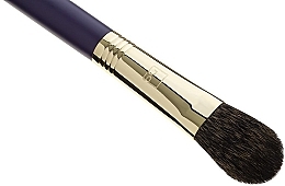 Powder Brush DS5 - Hulu — photo N5