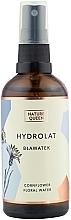 Fragrances, Perfumes, Cosmetics Cornflower Hydrolate - Nature Queen Hydrolat Cornflower