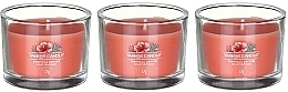 Scented Candle Set "Tropical Breeze" - Yankee Candle Tropical Breeze (candle/3x37g) — photo N15