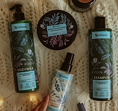 Shampoo - Vis Plantis Herbal Vital Care Shampoo For Dry And Matt Hair — photo N5