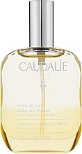 Caudalie Soleil Des Vigne - Body Oil — photo N1