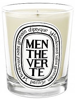 Scented Candle - Diptyque Menthe Verte Candle — photo N5