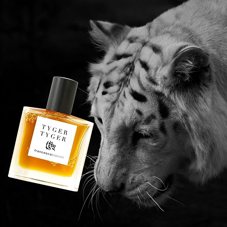 Francesca Bianchi Tyger Tyger - Perfume — photo N3