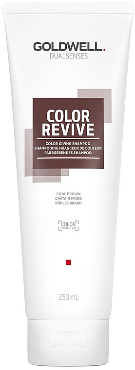 Color Shampoo - Goldwell Dualsenses Color Revive Color Giving Shampoo — photo N5