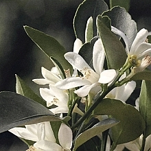 Chloé Naturelle - Eau de Parfum — photo N7