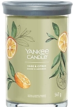 Scented Candle in Glass 'Sage & Citrus', 2 wicks - Yankee Candle Singnature — photo N2