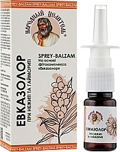 Nasal Balm Spray "Eucazolor" - Narodnyy Tselitel — photo N11