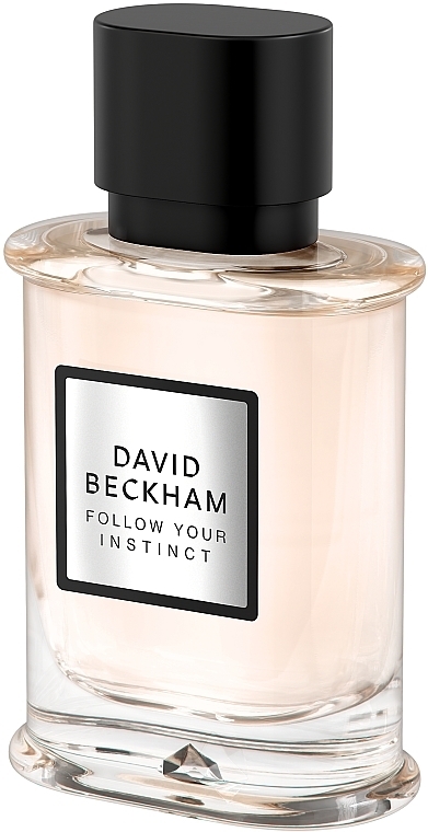 David Beckham Follow Your Instinct - Eau de Parfum — photo N2