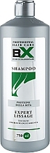 Fragrances, Perfumes, Cosmetics Anti-Frizz Shampoo - BX Professional Expert Lissage Shampoo