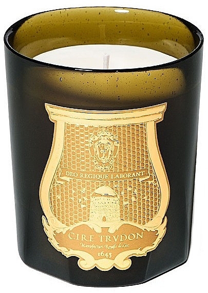 Scented Candle 'Ottoman' - Cire Trudon  — photo N1