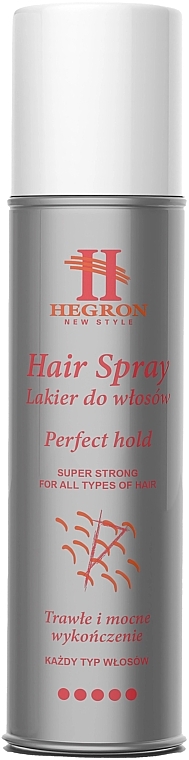 Hairspray - Hegron Perfect Hold Hair Spray — photo N1