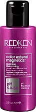 GIFT! Shampoo for Colour-Treated Hair - Redken Color Extend Magnetics Shampoo — photo N1