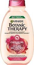 Hair Shampoo - Garnier Botanic Therapy Castor Oil And Almond — photo N1