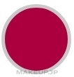 Direct Hair Color - Philip Martin's Color Slide Direct Color — photo 6.6 - Dark Red Blond