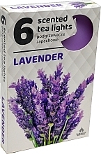 Fragrances, Perfumes, Cosmetics Lavender Tealights, 6 pcs - Admit Scented Tea Light Lavender