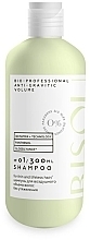 Fragrances, Perfumes, Cosmetics Moisturizing Volume Shampoo - Bisou Bio-Professional Anti-Gravitic Volume Shampoo