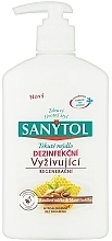 Fragrances, Perfumes, Cosmetics Liquid Soap "Nourishment" - Sanytol