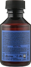 Balancing Shampoo - Davines Rebalancing Shampoo — photo N2