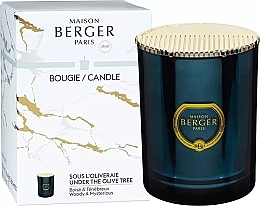 Maison Berger Under The Olive Tree - Scented Candle — photo N1